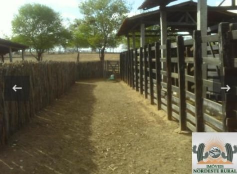 20240605073720811038