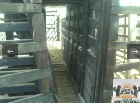 20240605073721768733