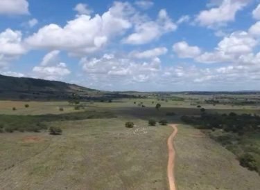 Fazenda para Venda, Arapiraca / AL