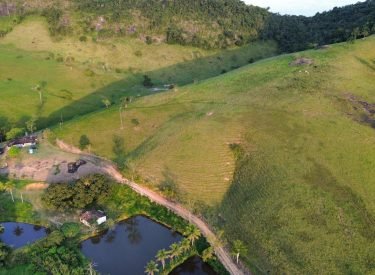 Fazenda para Venda, Igreja Nova / AL